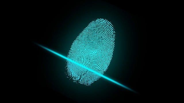 finger-gbe3fce847_640.jpg