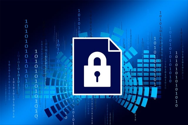 security-g23c8546ab_640.jpg