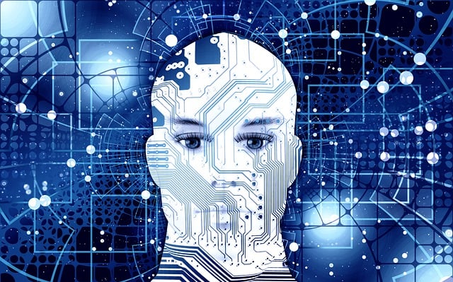 artificial-intelligence-g9b5adfa28_640.jpg